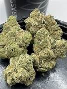 Funky Charms | THCa: 26.3% | Hybrid