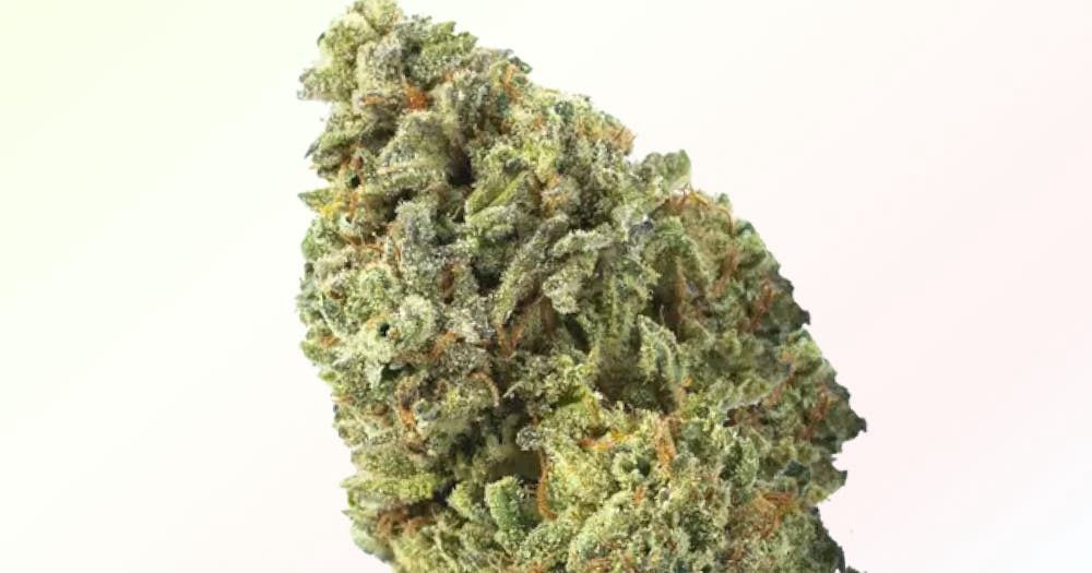 Gelonade | THCa: 28% | Sativa