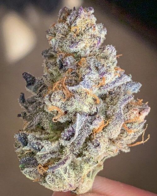 Purple Punch | Indica | THCa 24.2%, Size: 1/8