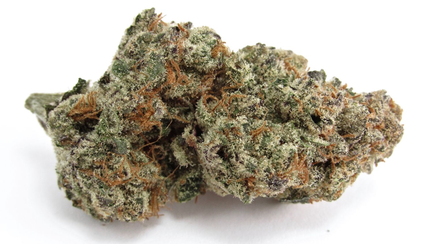 Horchata | Hybrid | THCa: 26.1%, Weight: 1/8