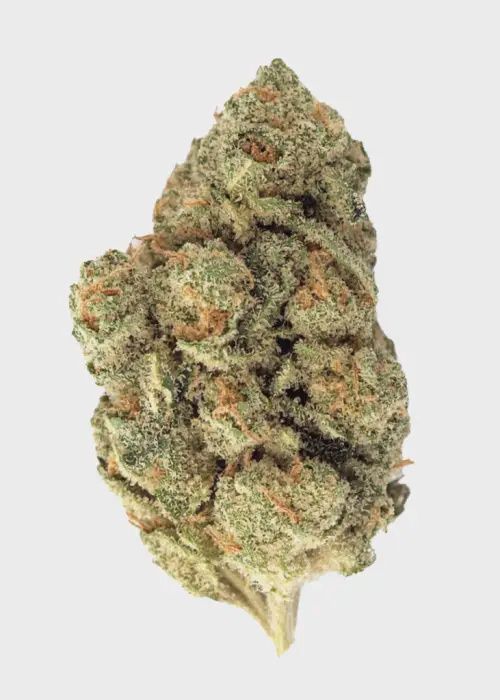 UK Cheese | Indica | THCa: 25.3%