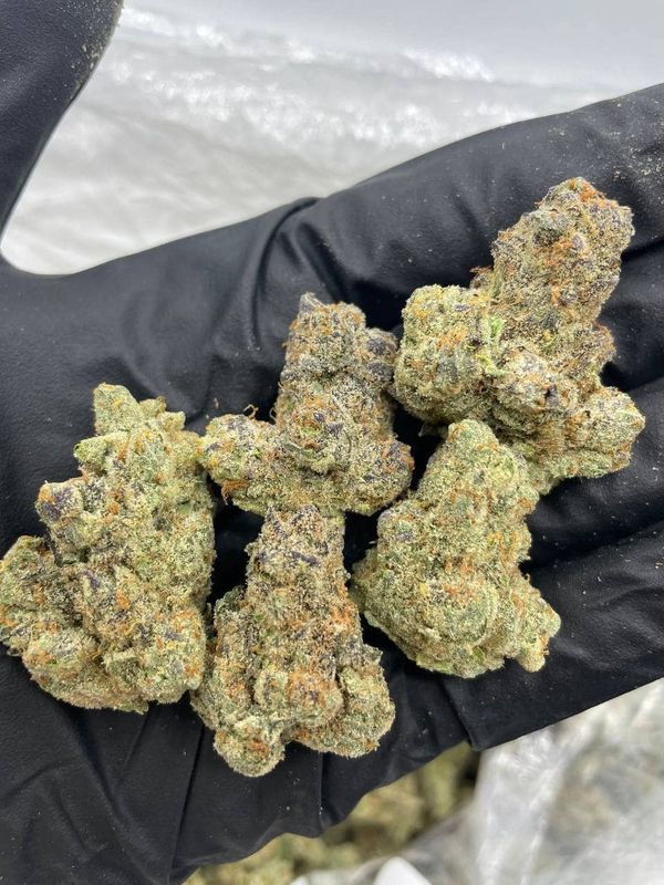 Orange Creamsicle | Sativa | THCa: 31.1%