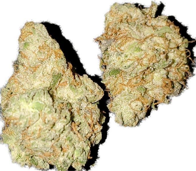 Han Solo | Indica | THCa: 26.8%, Size: Ounce