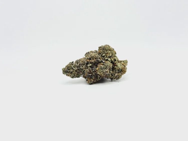 Dayquil | Sativa | THCa: 23.5%