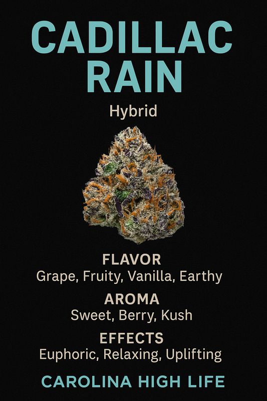 Cadillac Rain | Hybrid | THCa: 28.0%