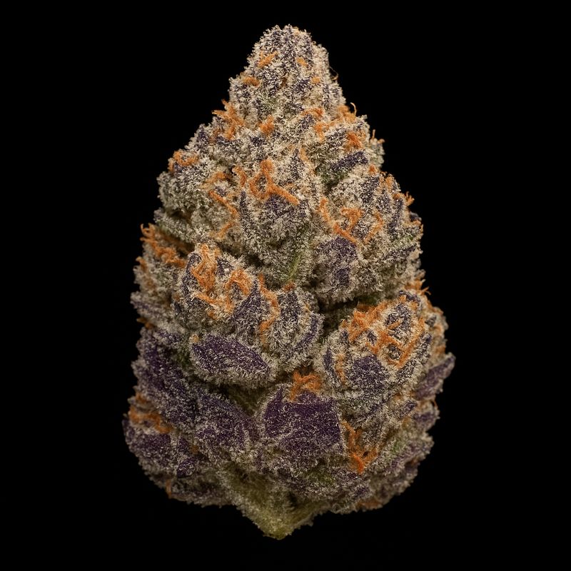 Slurricane | Hybrid | THCa: 31.3%