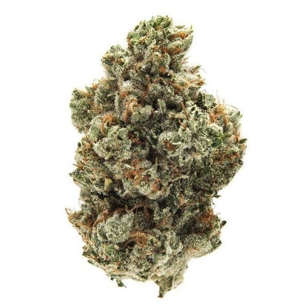 Captain Crunch | Hybrid | THCa 28%