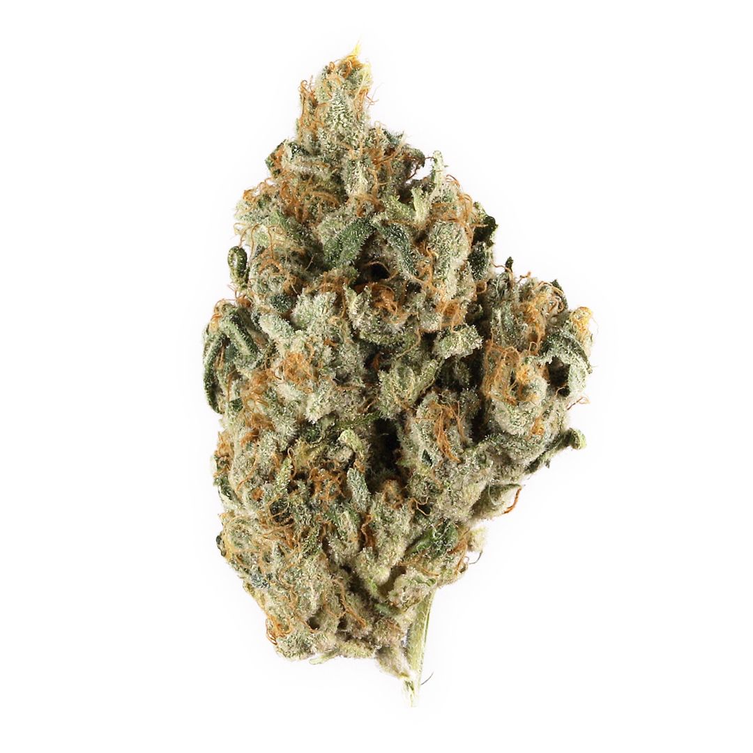Where's My Bike | Ounce | Hybrid | THCa 28.09%