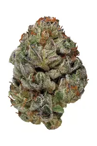 PINK SLUSHIE - 1 OZ. - $150