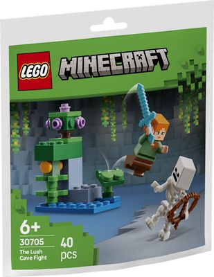 LEGO Minecraft Polybag Duel bij de weelderige grot 30705