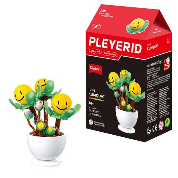 Sluban Pleyerid Potplanten M38-B1073E Smiley
