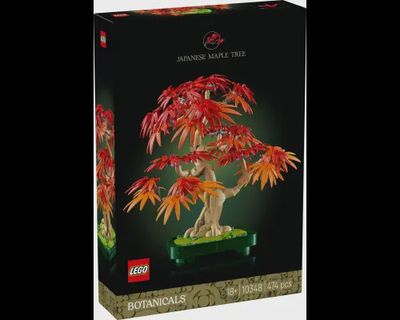 LEGO Botanicals Japanse esdoorn bonsaiboompje  10348