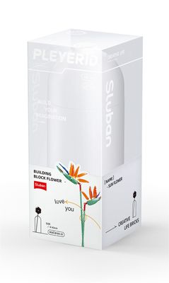 Sluban Pleyerid Strelitzia Reginae Aiton M38-B1101-01