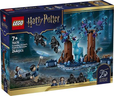 LEGO 76475 Harry Potter Verboden Bos: Expecto Patronum