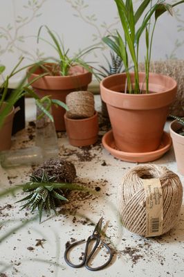 Garden &amp; Outdoors