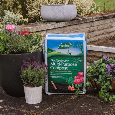 GARDENERS MULTI PURPOSE COMPOST 80L