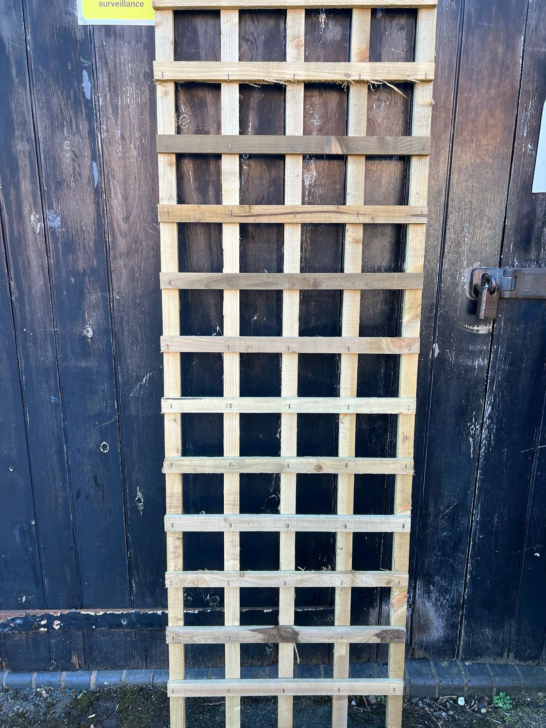 Trellis 6 x 2