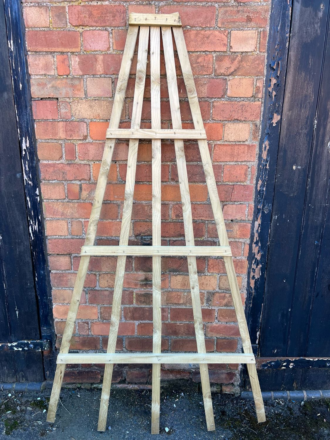 Fan Trellis 6x3