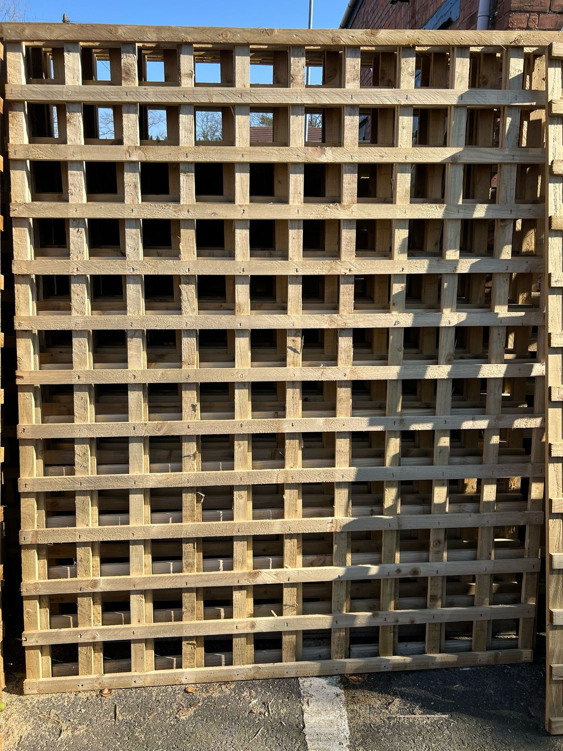 Trellis 6 x 4