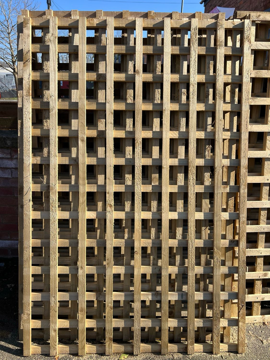 Trellis 6 x 5