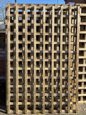 Trellis 6 x 5