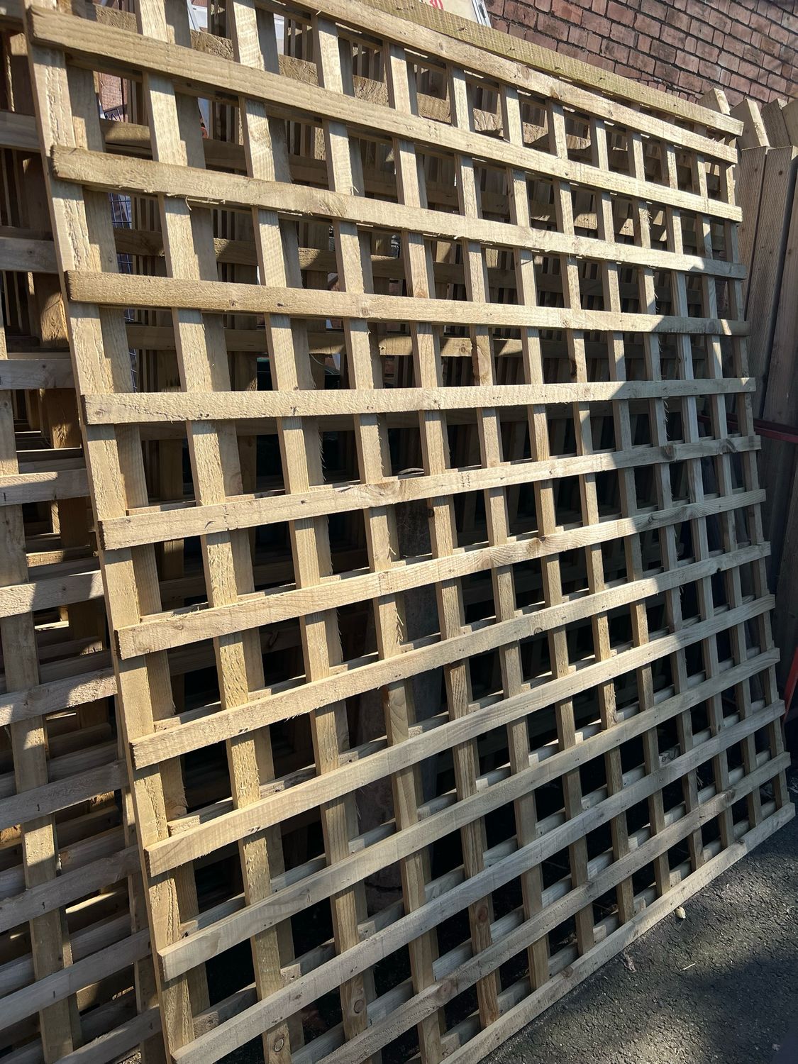 Trellis 6 x 6