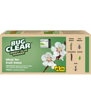 Bug clear insect glue barrier