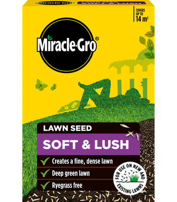 EVERGREEN LUXURY GRASS SEED 420G