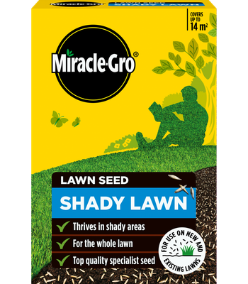EVERGREEN SHADY GRASS SEED 420G