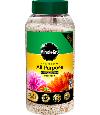MIRACLE GRO SLOW RELEASE PLANT FOOD JAR 900G