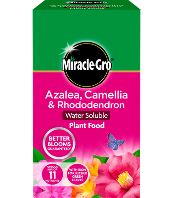 MIRACLE GRO ERICACEOUS PLANT FOOD 1KG