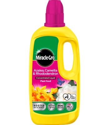 MIRACLE GRO ERICACEOUS LIQUID 1LT