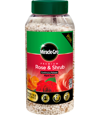 MIRACLE GRO ROSE &amp; SHRUB CON RELEASE JAR 900G
