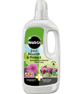 MIRACLE GRO N&amp;P SEAWEED PLANT FOOD 800ML