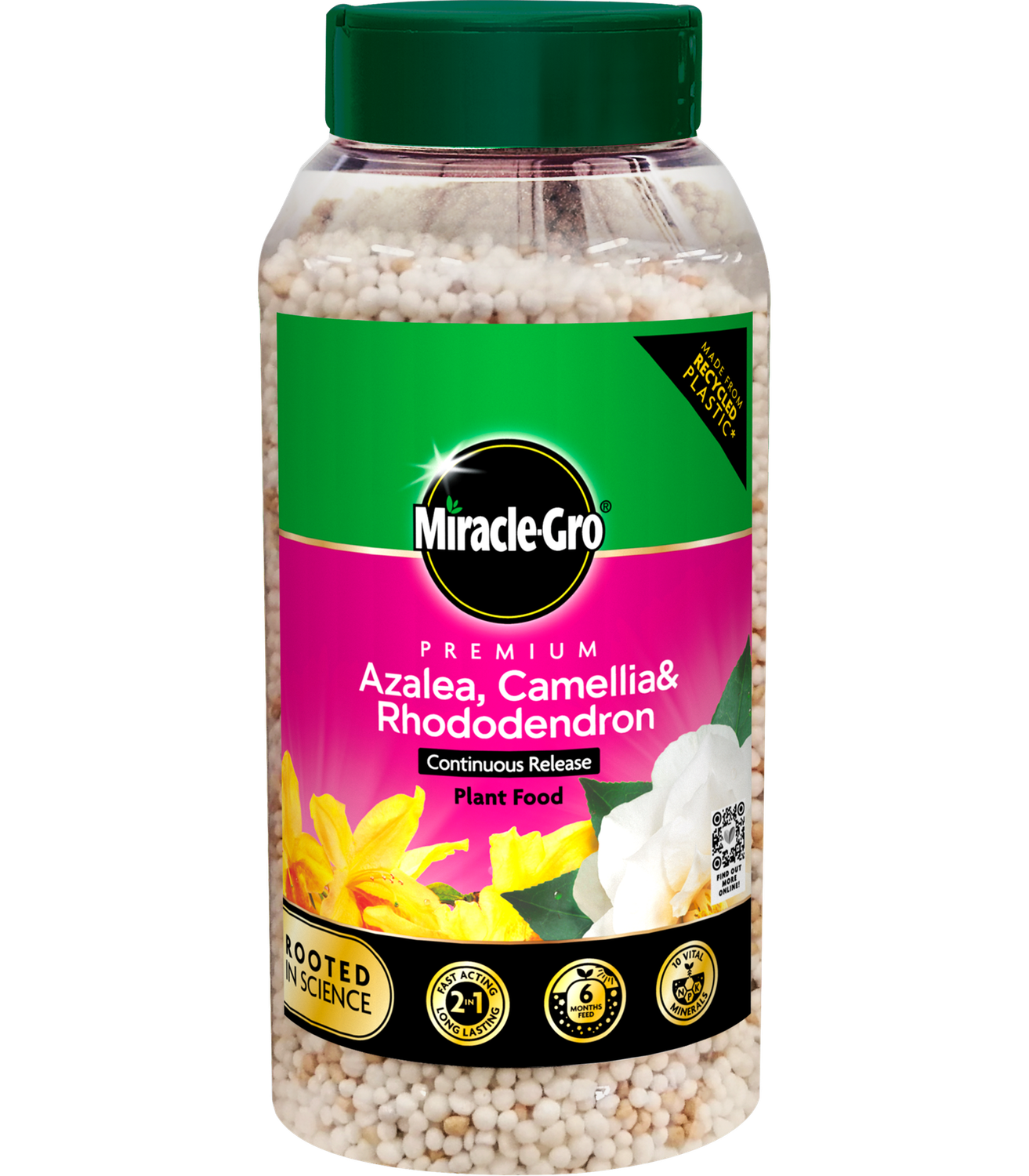 MIRACLE GRO AZALEA CAMELIA RHO PLANT FOOD