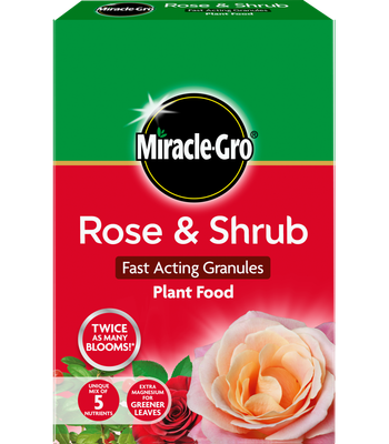 MIRACLE GRO ROSE &amp; SHRUB 3KG