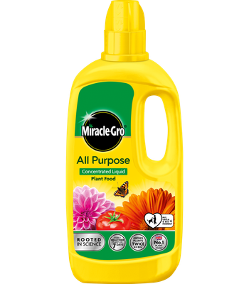 MIRACLE GRO PLANT FOOD 500G