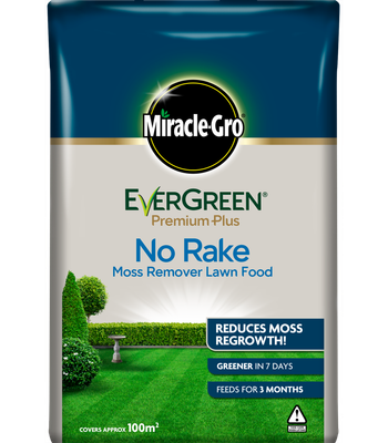 EVERGREEN NO MOSS NO RAKE 10KG