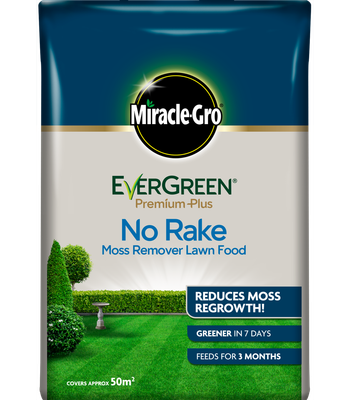 EVERGREEN NO MOSS NO RAKE 5KG