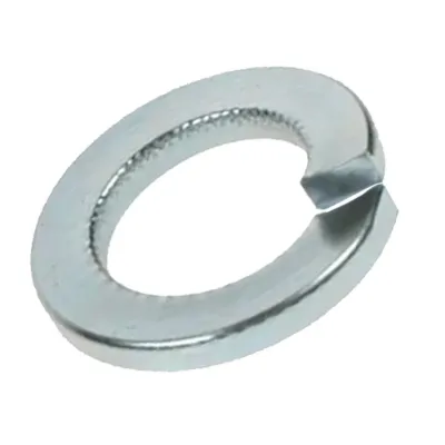 (x10)M10 SPRING WASHERS BZP