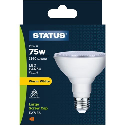 12W ES LED PAR30 BULB