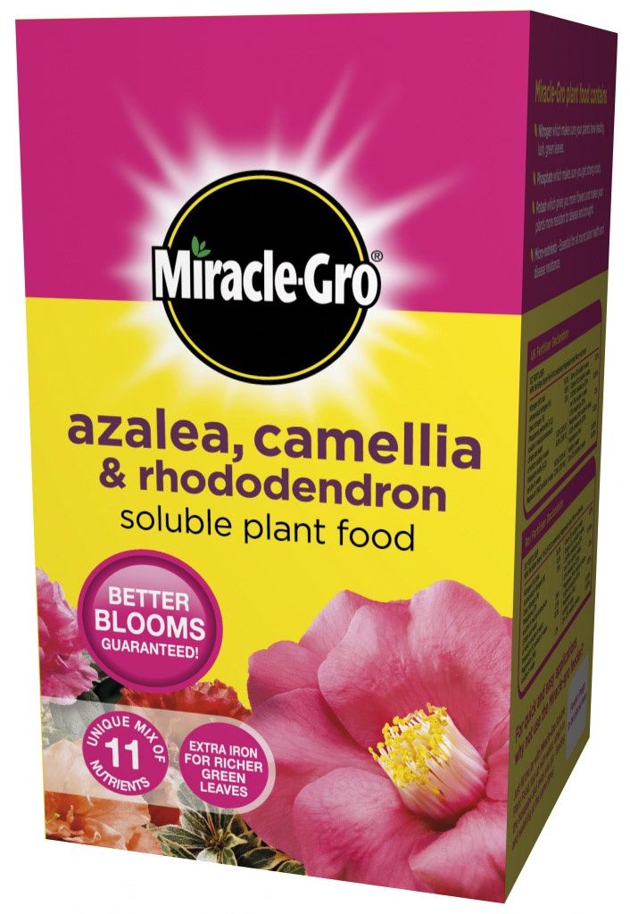 MIRACLE GRO ERICACEOUS PLANT FOOD 1KG