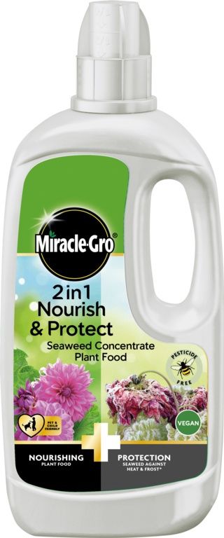 MIRACLE GRO N&amp;P SEAWEED PLANT FOOD 800ML