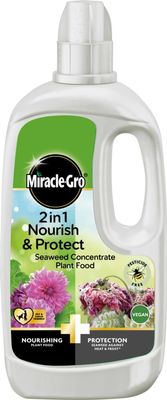 MIRACLE GRO N&amp;P SEAWEED PLANT FOOD 800ML