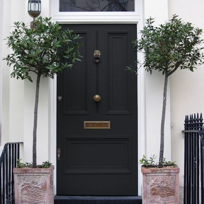 Miracle Gro Continuous Release 2kg Tub