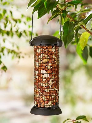 Peanut feeder