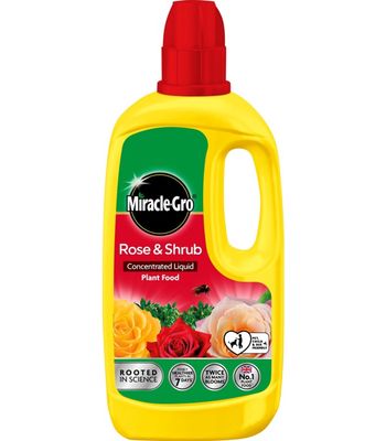 MIRACLE GRO ROSE &amp; SHRUB LIQUID 800ML