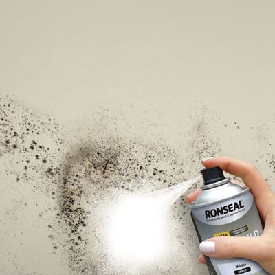 RONSEAL QUICK DRY ANTI MOULD AEROSOL