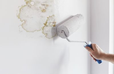 RONSEAL ANTI MOULD PAINT MATT 2.5LT