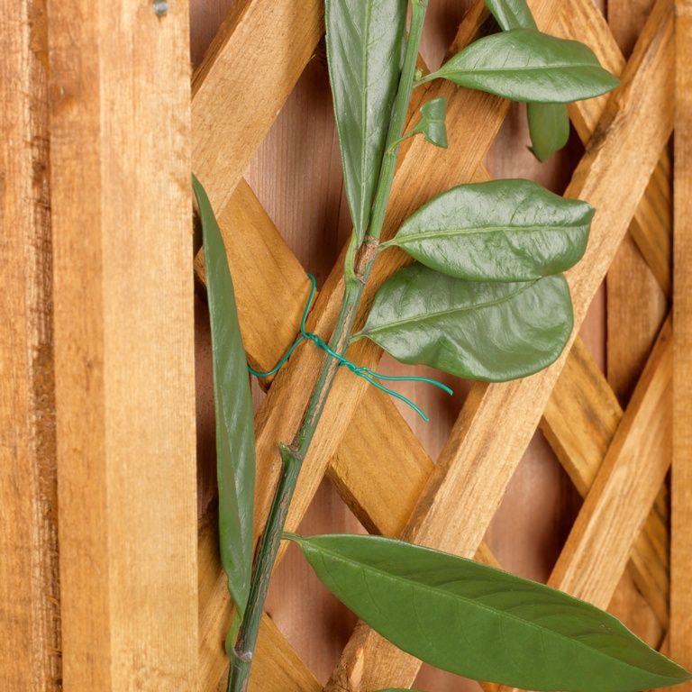 SUPAGARDEN 2MM X 15M PVC GARDEN WIRE SGS50